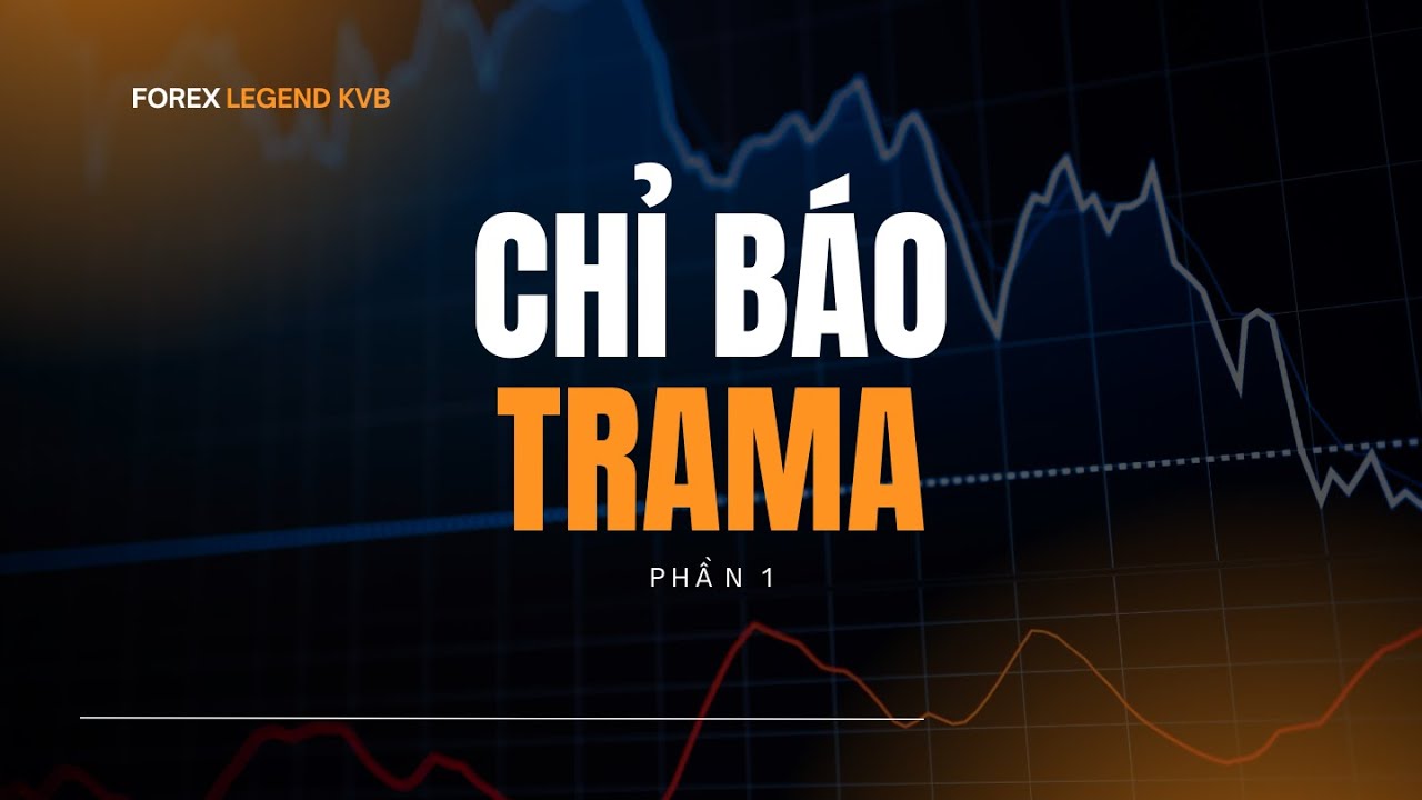 Exness外汇返佣|Exness外汇返现